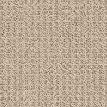 Masland Seascape Coastal 9712-738