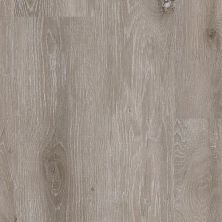 Dixie Home Trucor® Alpha Collection in Shadow Oak P1027-D8004