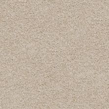 Dixie Home Shepherd River Sand D069-71249