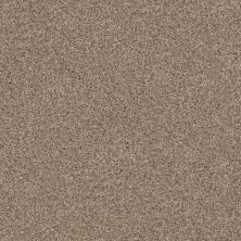 Dixie Home Shepherd Roasted Almond D069-75745