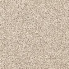 Dixie Home Spring Break Seagrass D070-73156