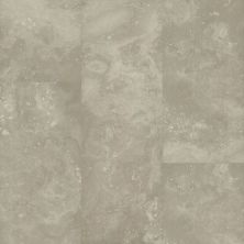 Dixie Home Trucor® 3dp Collection in Travertine Ash S1115-D6251