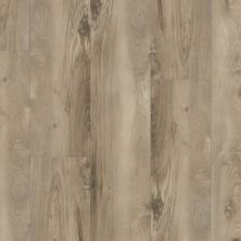 Trucor Prime XL Collection Chantilly Oak P2239-M6404