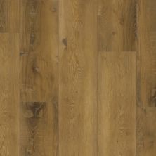 Trucor Prime XL Collection Loire Oak P2239-M6407