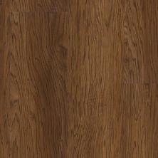 Trucor Alpha Collection Tobacco Hickory P1024-D8001
