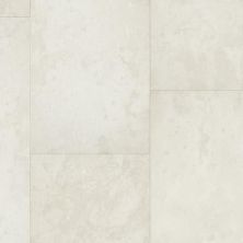 Dixie Home Trucor® Tile Collection in Travertine White S1111-D9003