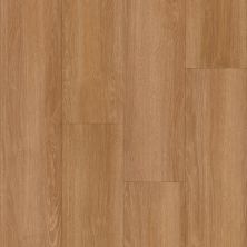 Trucor Energy Flex – Dry Back Rondo Oak P2245-MEN02