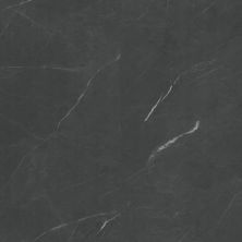 Trucor Tile With Cgt Collection Emperador Ebony S1118-D1927