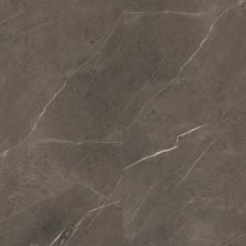 Trucor Tile With Cgt Collection Emperador Sable S1118-D1926
