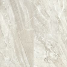 Trucor Tile With Cgt Collection Marble Haven S1118-D2239