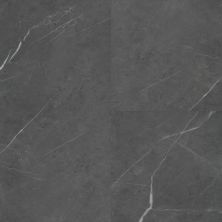 Trucor Tile With Cgt Collection Emperador Carbon S1119-D1922