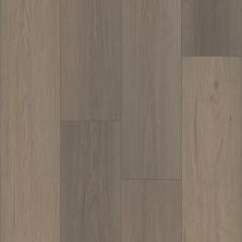 Trucor Tymbr Select Hilgard Oak P2249-M3156
