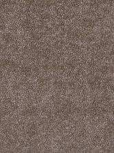 Dream Weaver Showstopper II Peppercorn 5650_753