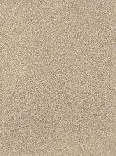 Montauk Dreamweaver  CASHEW 2560_530