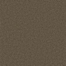 Pike’s Peak Dreamweaver  BALSAM 2625_565