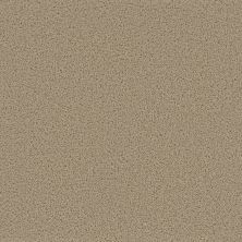 Pike’s Peak Dreamweaver  COOKIE DOUGH 2625_705