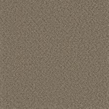 Pike’s Peak Dreamweaver  CLAYSTONE 2625_708