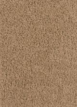 Dream Weaver Keystone Plus Honey Beige 3120_510