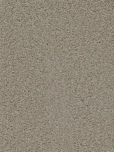Dream Weaver Heavenly Taupe 4655_565