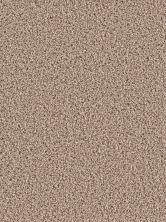 Dream Weaver Gothem Mocha 9600_775