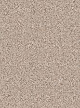 Dream Weaver Gothem Stucco 9600_905