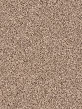 Dream Weaver Gothem Tumbleweed 9600_883