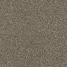 Star Struck Dreamweaver  QUAIL 4032_725