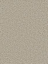 Dream Weaver Cosmopolitan Stucco 5755_905
