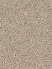 Dream Weaver Cosmopolitan Linen 5755_824