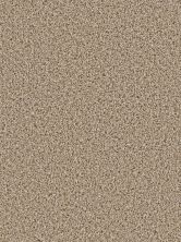 Dream Weaver Cosmopolitan Straw 5755_551