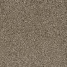 Stunning Dreamweaver  STRAW 4765_551