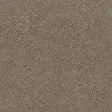 Stunning Dreamweaver  TUMBLEWEED 4765_883
