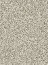 Dazzling Dreamweaver  SEASHELLS 4775_758
