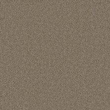 Cosmopolitan II Dreamweaver  GINGER 8550_726
