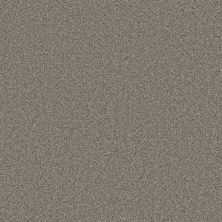 Cosmopolitan II Dreamweaver  IRON FROST 8550_815