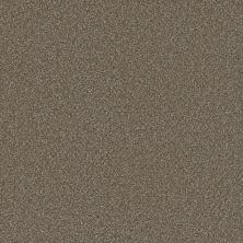 Cosmopolitan II Dreamweaver  ACORN 8550_858