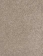 Metropolitan Dreamweaver  TUMBLEWEED 9400_883