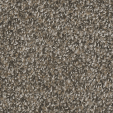 Big Bob’s Flooring Outlet St-crave II 12′ Copper Mine IS-ST-CraveII12-CopperMine