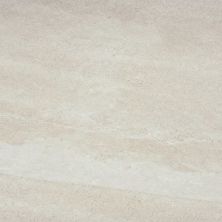 Emser Access II Path F23ACCEPA1224