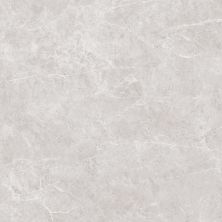 Emser Home Gallery Tile 2.0 Bellagio Silver