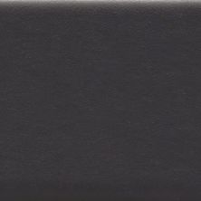 Emser Euphoria Plain Ore 3" X 12"