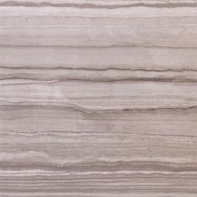 Emser Chronicle Record - 12x24