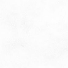 Emser Citizen Civilian - 12x24 Matte