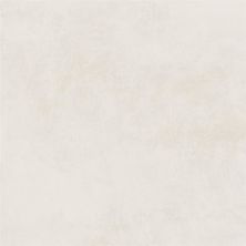 Emser Citizen Elector - 24x48 Matte