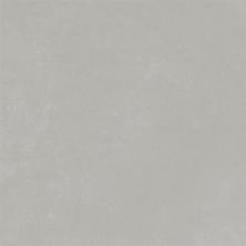 Emser Citizen Public - 12x24 Matte