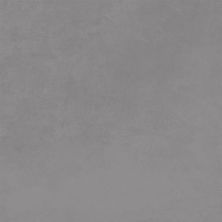 Emser Citizen Subject - 12x24 Matte