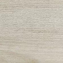 Emser Porch Midnight - 8x47