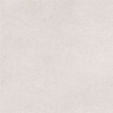 Emser Anthem White – 18×18 F58ANTHWH1818