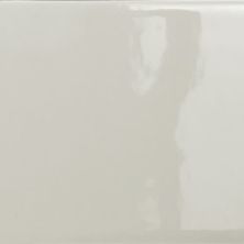 Emser Catch Fawn Glossy 3" X 6"