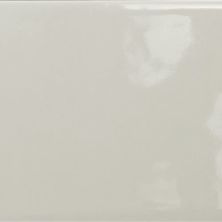 Emser Catch Fawn Glossy 4" X 16"